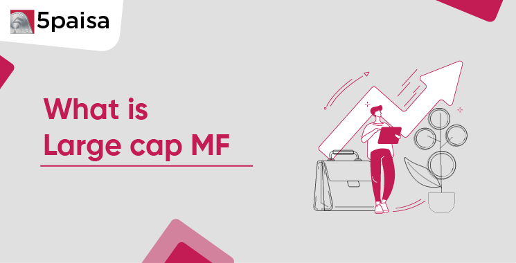 What is Large cap Mutual Fund?
