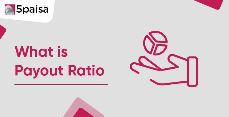 What is Payout Ratio? A Guide for Investors
