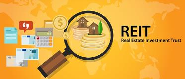 What are REITs and should you invest in them?