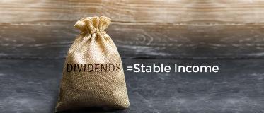 Do You Own High Dividend Paying Stocks?