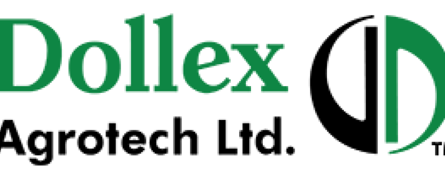 Dollex IPO