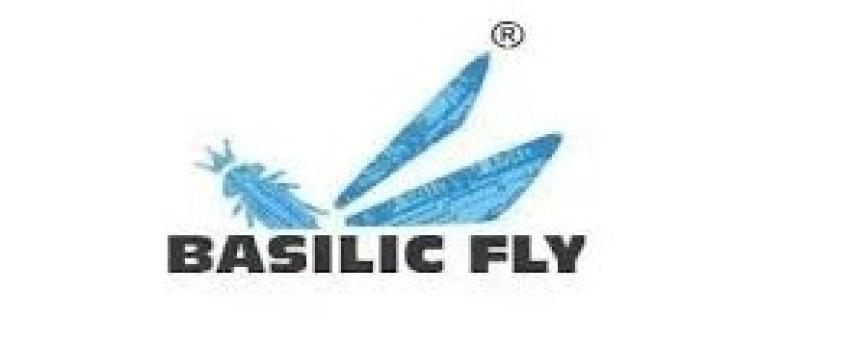 Basilic Fly Studio IPO