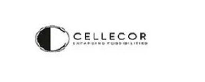 Cellecor Gadgets IPO