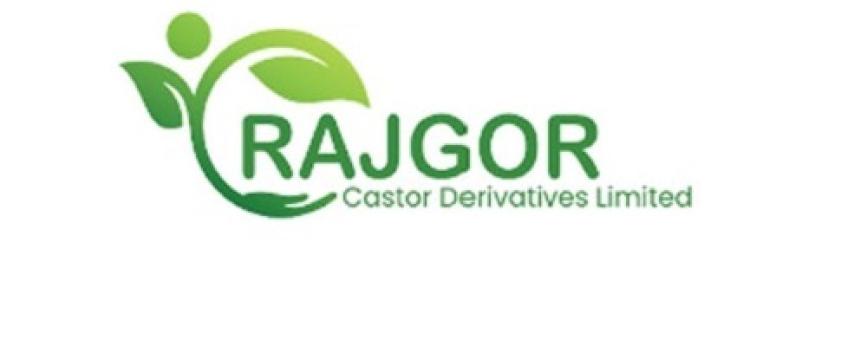 Rajgor Castor IPO