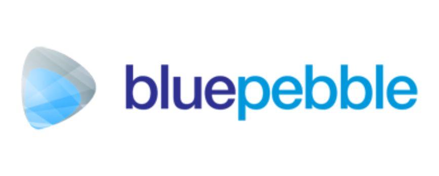 blue pebble ipo