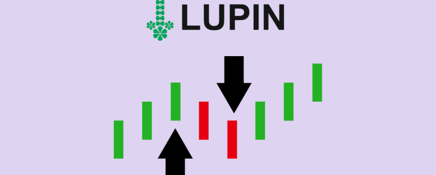 Stock in Action -  Lupin