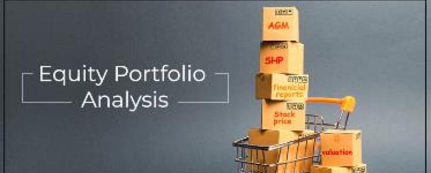 How can an investor track his equity (stock) portfolio?