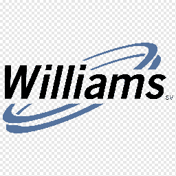 Williams Cos Inc share price