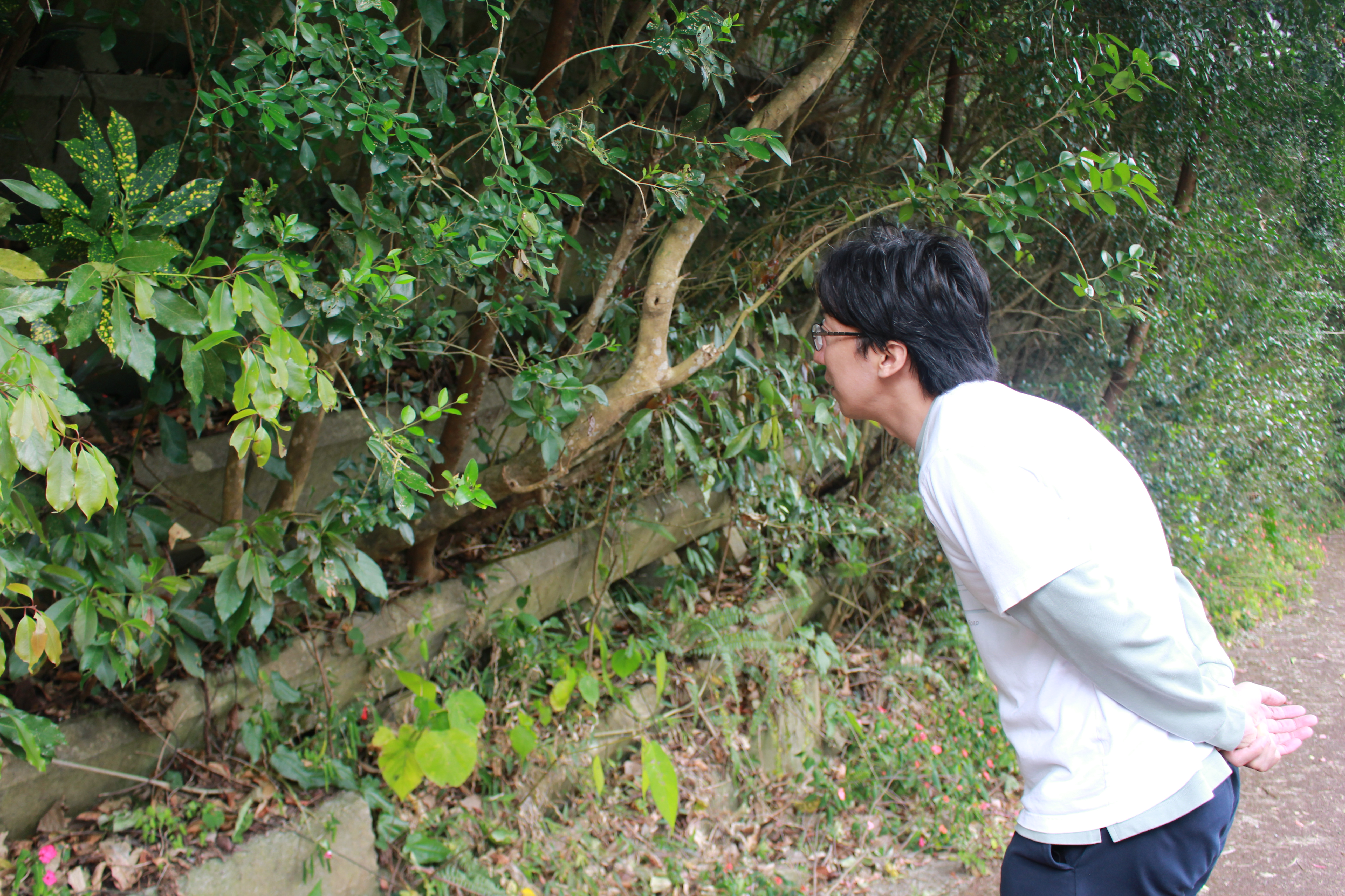 「自分が一番使いたいものを、作ることにした。」ー沖縄に住む研究者、多胡さん