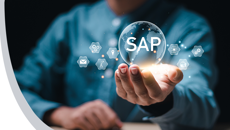 Enterprise SAP solutions