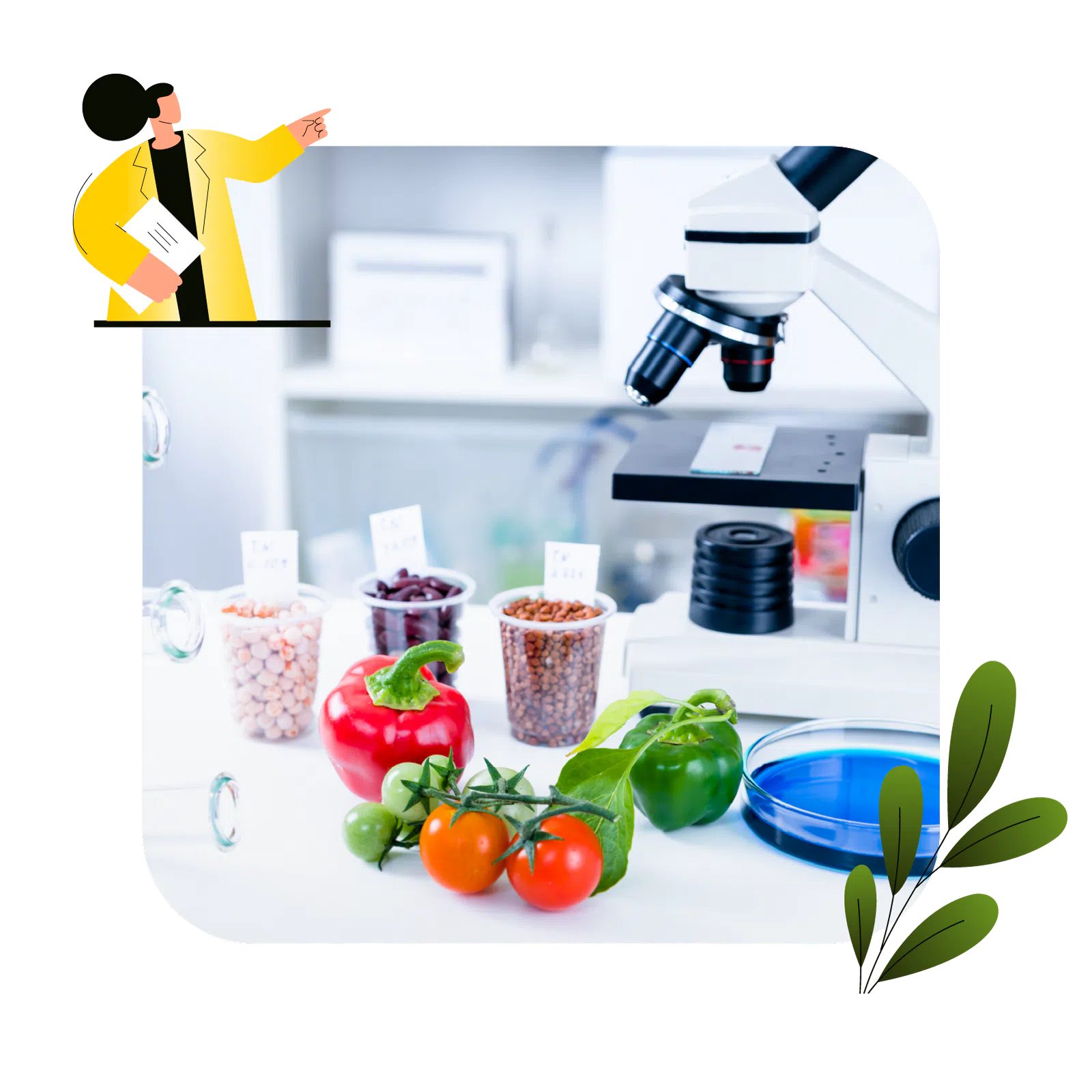 Nutritional Tests Amerpharma Services