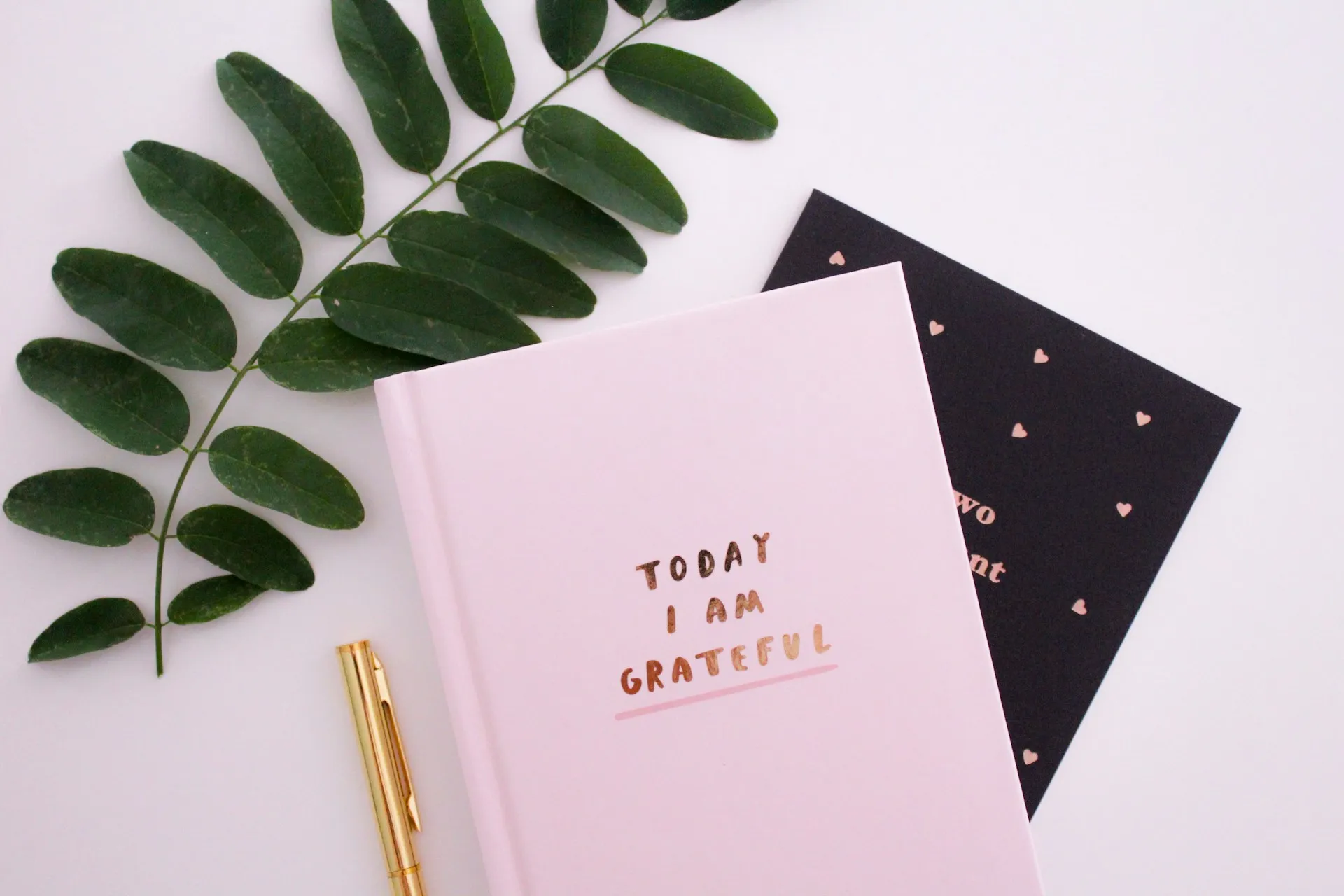 Journaling Challenge