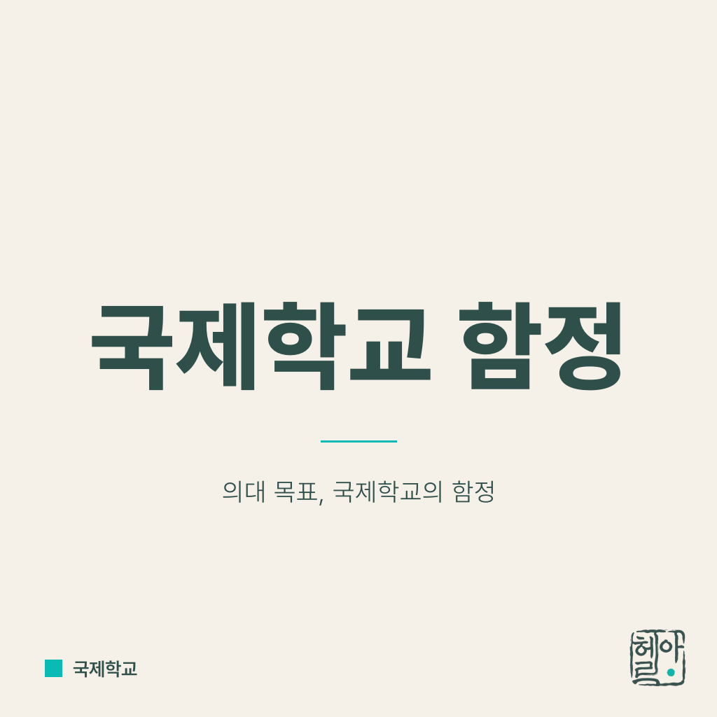 의대 증원의 역설, 국제학교는 함정이다