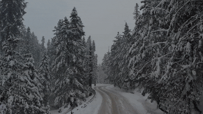 Beyond The Headlines | Why avalanches are trigerred | ft. Snow Sports Officer, Brian Newman