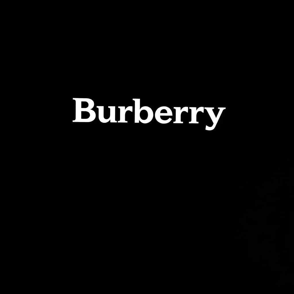 Burberry brand logo in white on black background