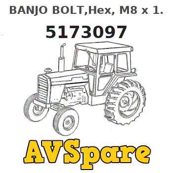 BANJO BOLT,Hex, M8 x 1.25 x 25mm, Cl 8.8 5173097 - Case | AVSpare.com