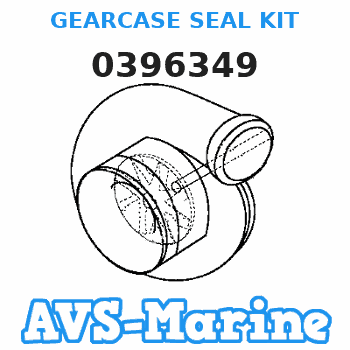 0396349 JOHNSON GEARCASE SEAL KIT