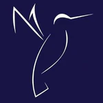 Colibrium Marketplace логотип