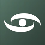Nevron Vision for SSRS логотип