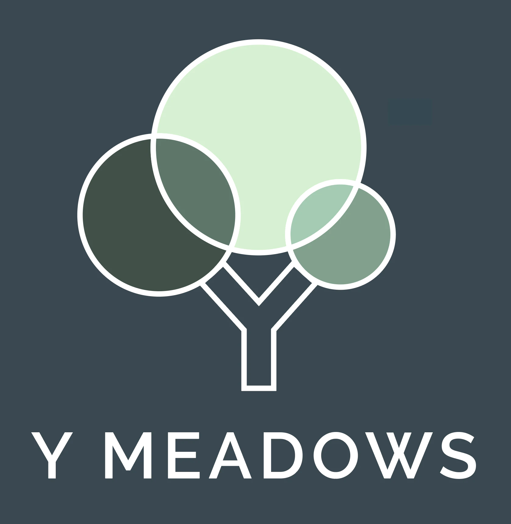 Y Meadows логотип