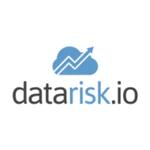 DataRisk логотип