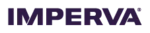 API Security логотип