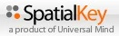 SpatialKey логотип