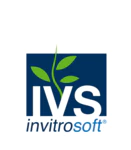 IVS логотип