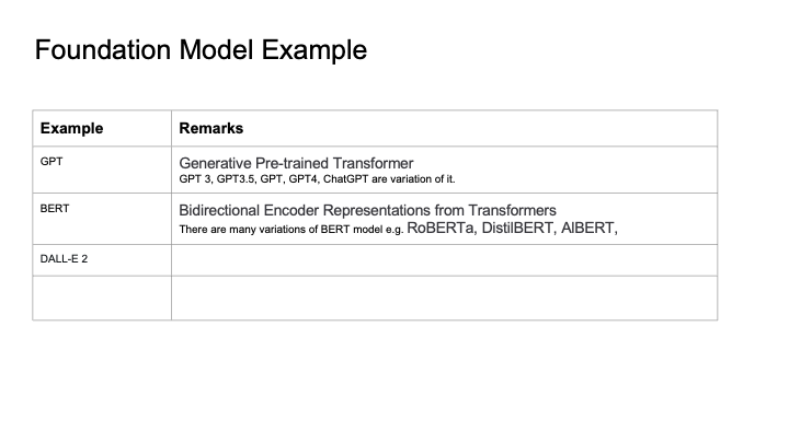 FOUNDATION MODEL EXAMPLE