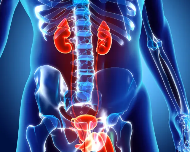 Urologija
