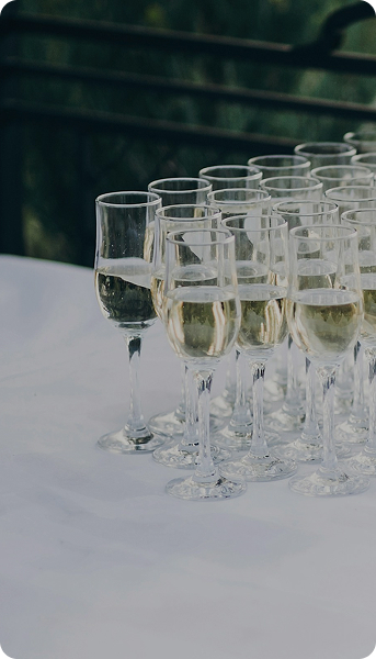 search-section-background