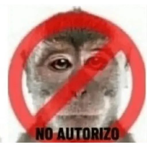 stickers_memes_estúpidos