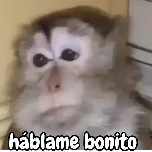 stickers_monos_traviesos_