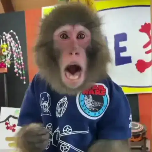 stickers_monos_traviesos_