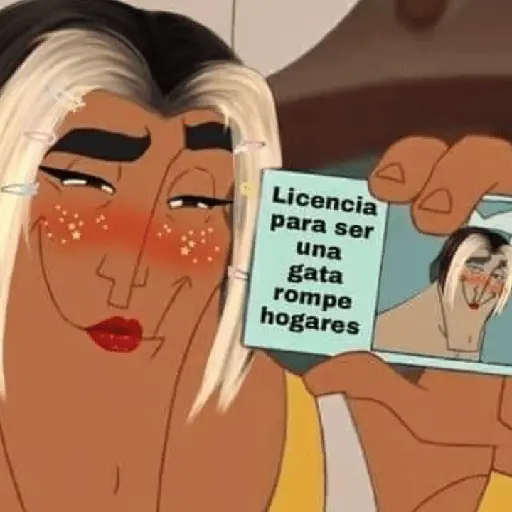 stickers_licencias