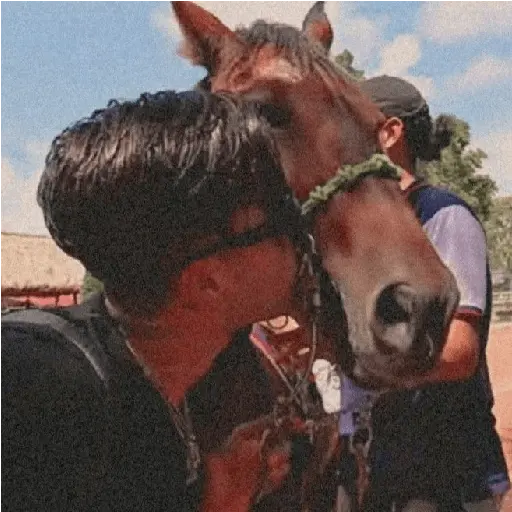 stickers_JD_pantoja_:D