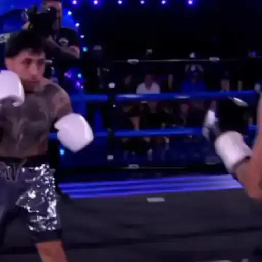 stickers_Westcol_🥊
