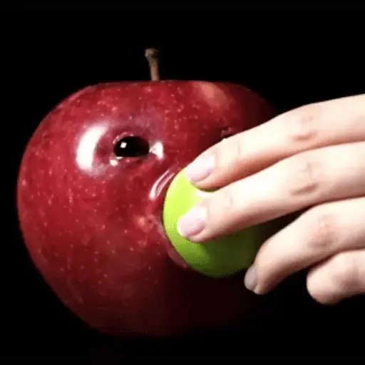 stickers_Manzana_Meme_Faces🍎