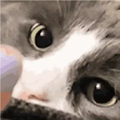 stickers_Gatitos_MIX!_🐈⬛