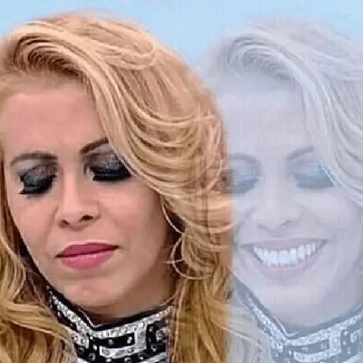 stickers_BRAZILIAN_MEMES_🇧🇷