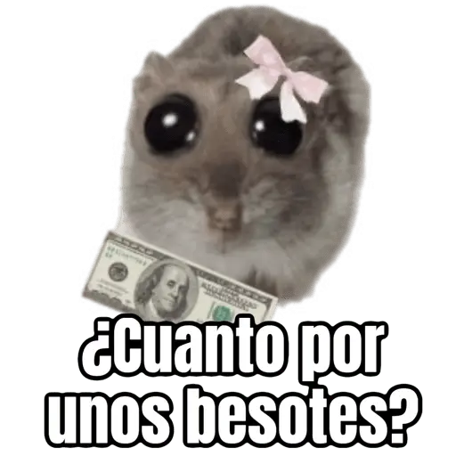 stickers_Ratita_triste_-_Memes_🥲🤣