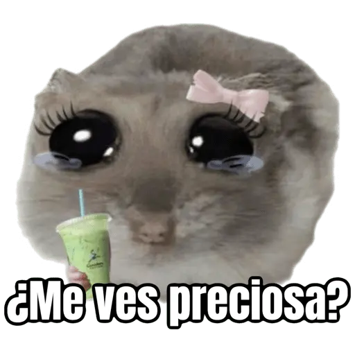stickers_Ratita_triste_-_Memes_🥲🤣