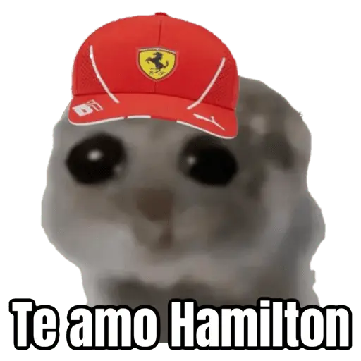 stickers_Ratita_triste_-_Memes_🥲🤣