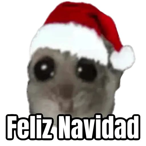 stickers_Ratita_triste_-_Memes_🥲🤣
