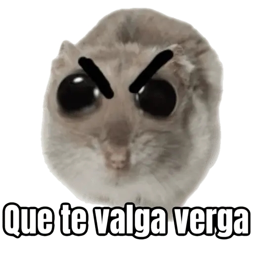 stickers_Ratita_triste_-_Memes_🥲🤣