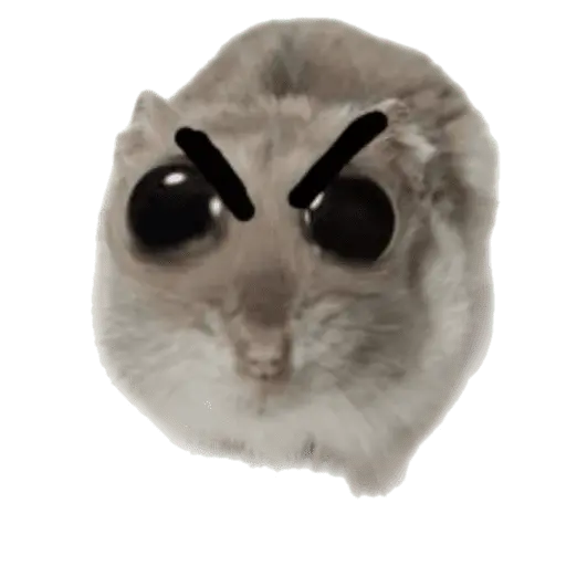stickers_Ratita_triste_-_Memes_🥲🤣