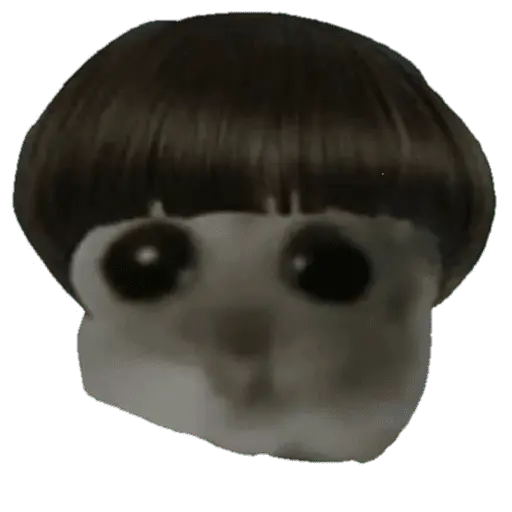 stickers_Ratita_triste_-_Memes_🥲🤣