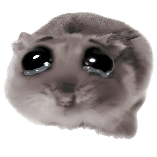stickers_Ratita_triste_-_Memes_🥲🤣