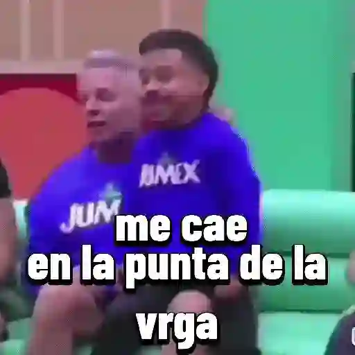 stickers_la_casa_de_los_famosos_