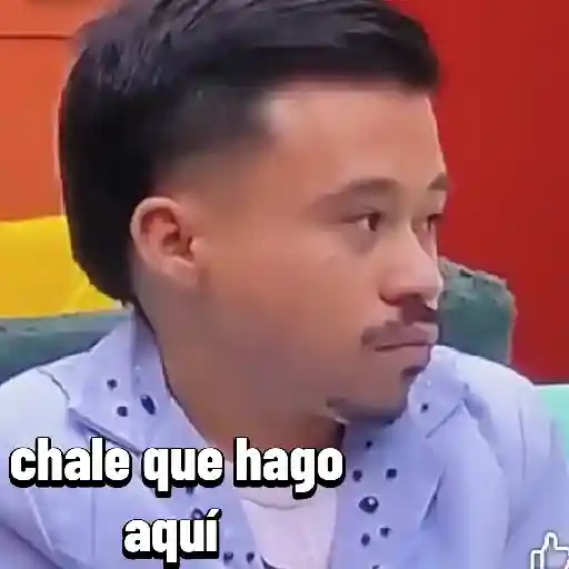 stickers_la_casa_de_los_famosos_